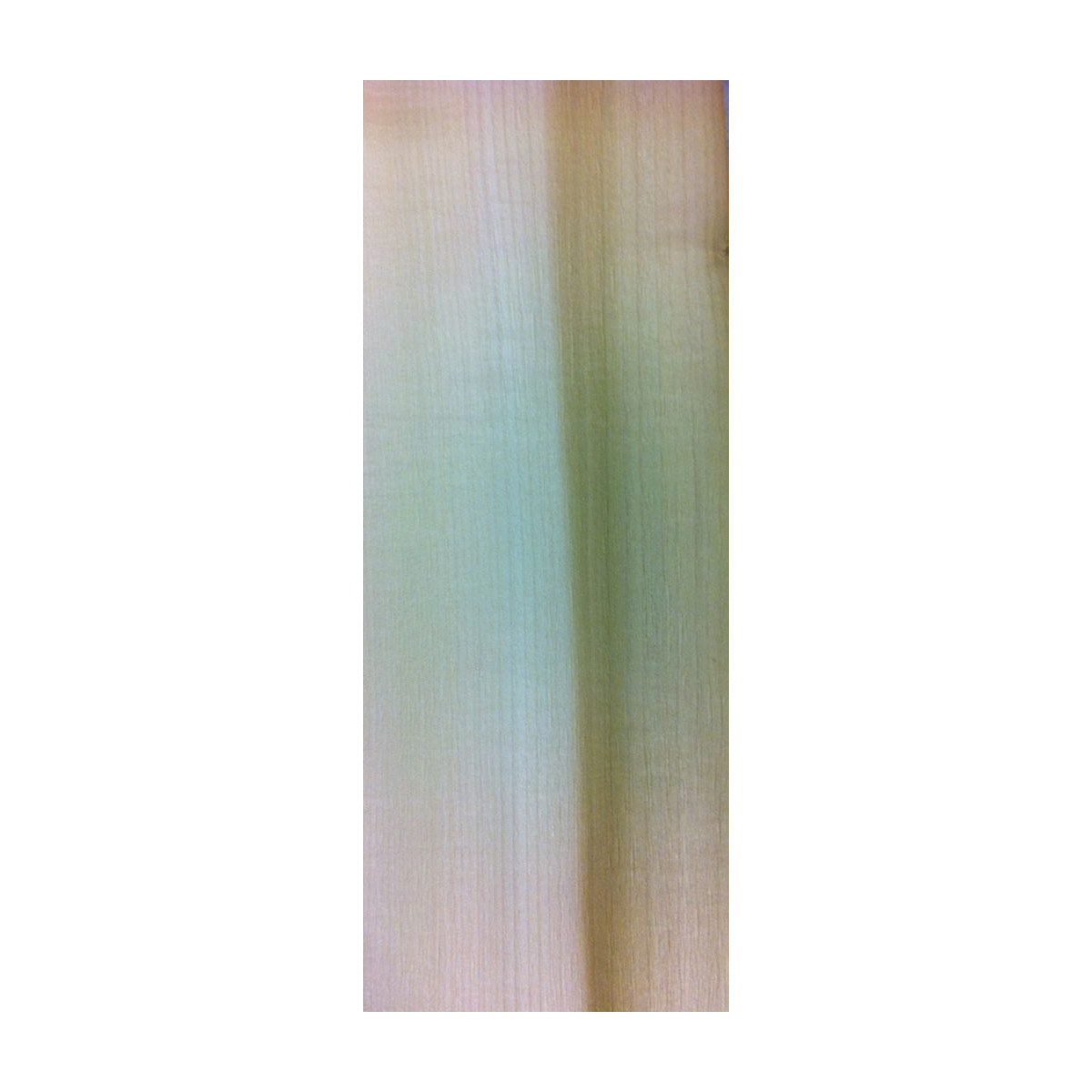 Placage Tulipier bicolore