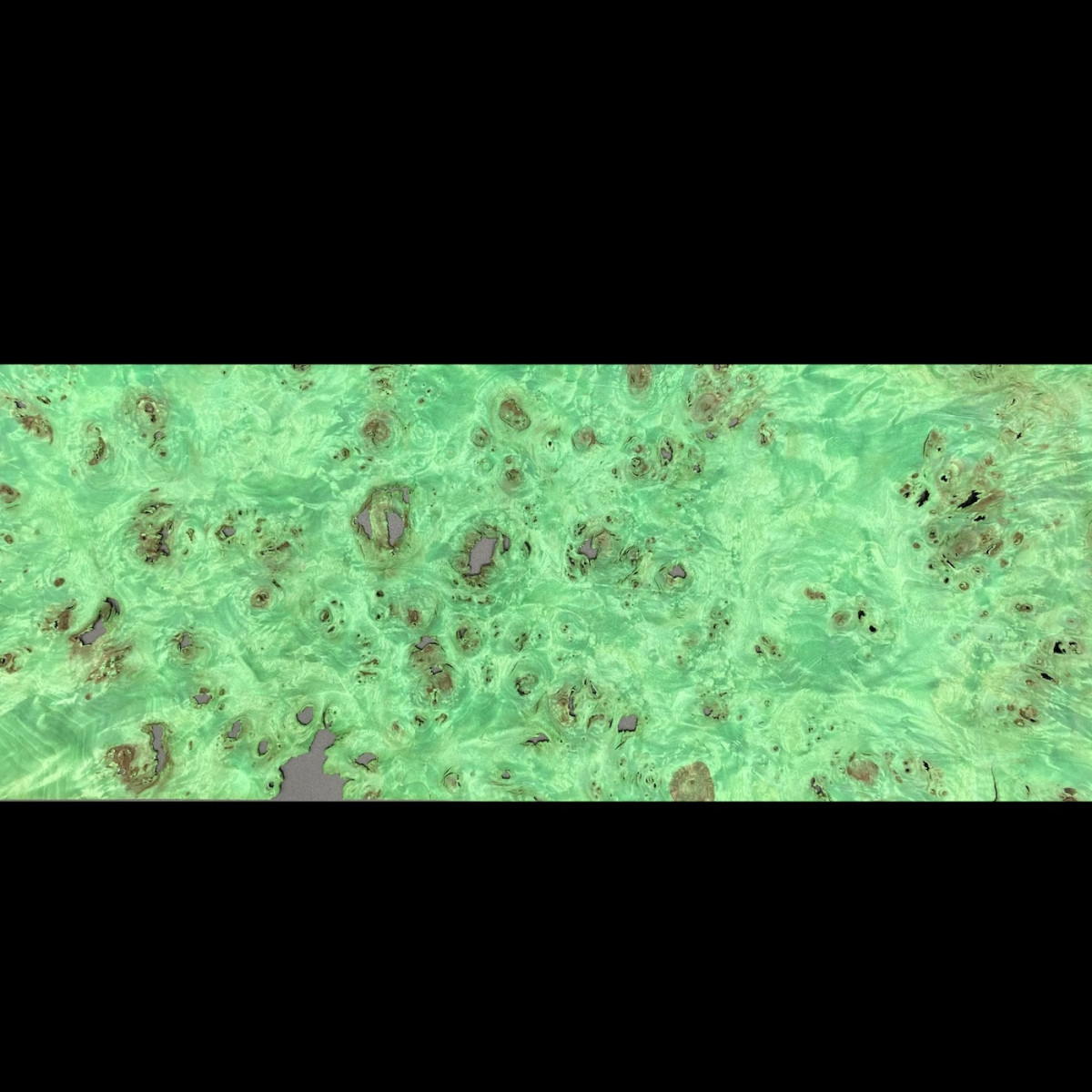 Placages et filets Gauthey - Loupe de peuplier vert pomme