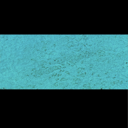 Placage Bouleau Madré Bleu Lagon