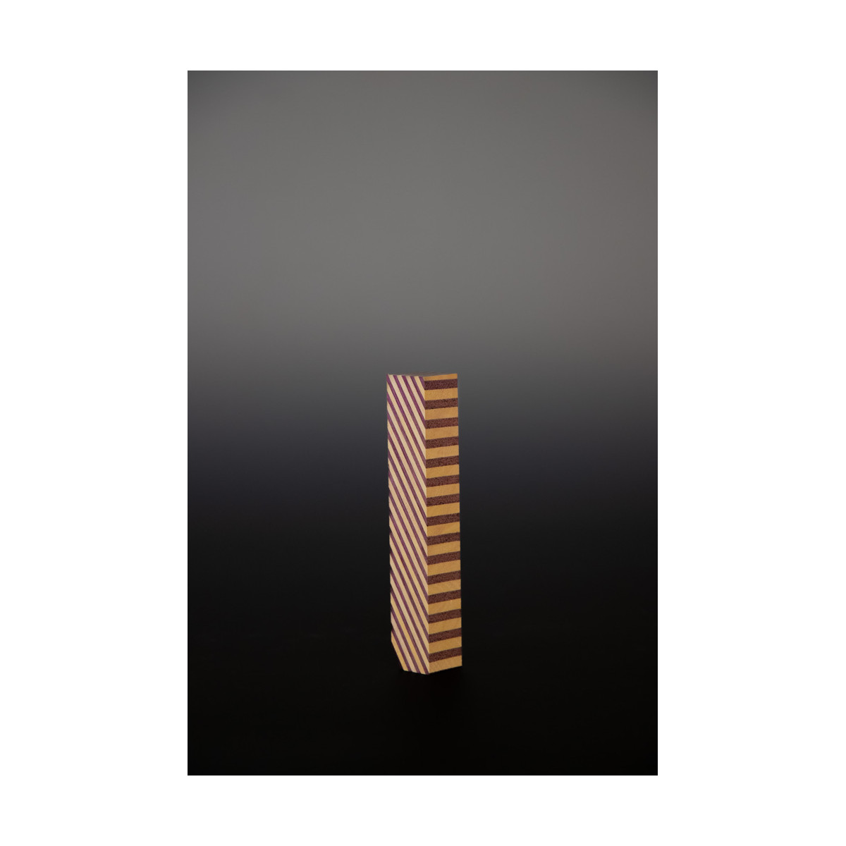 Carrelet de Tournage 18