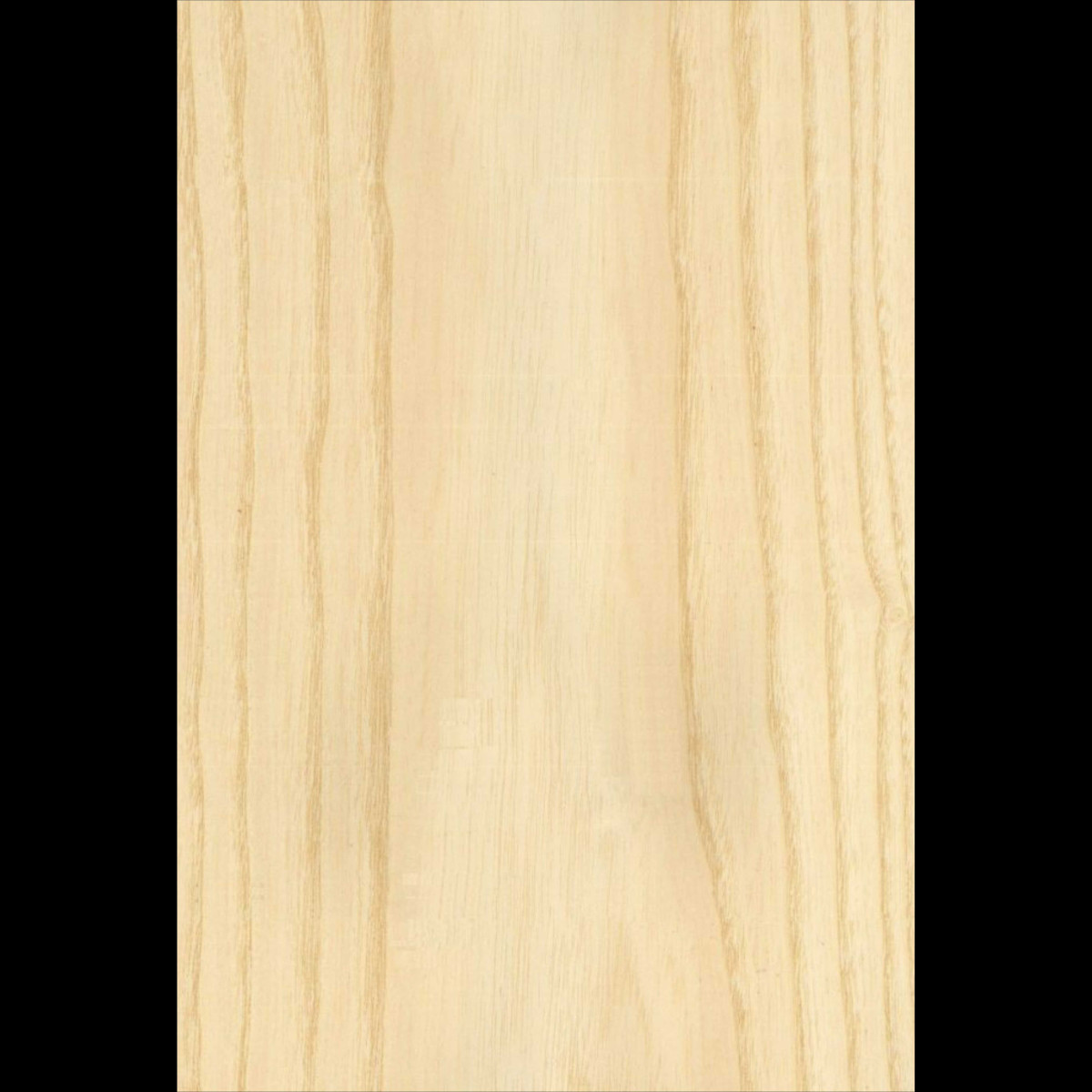 Placage frêne sur double face