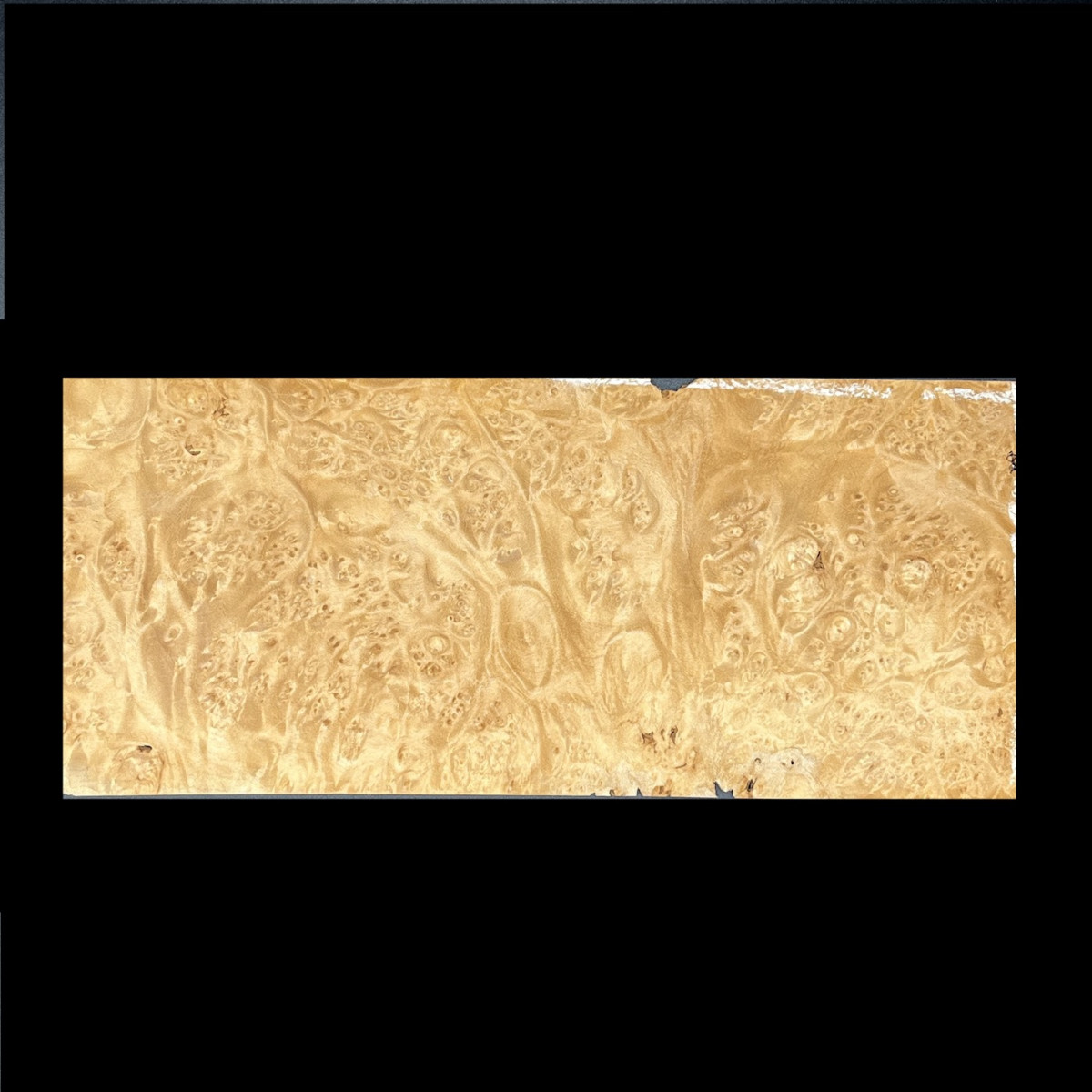 Placage Loupe d' Erable