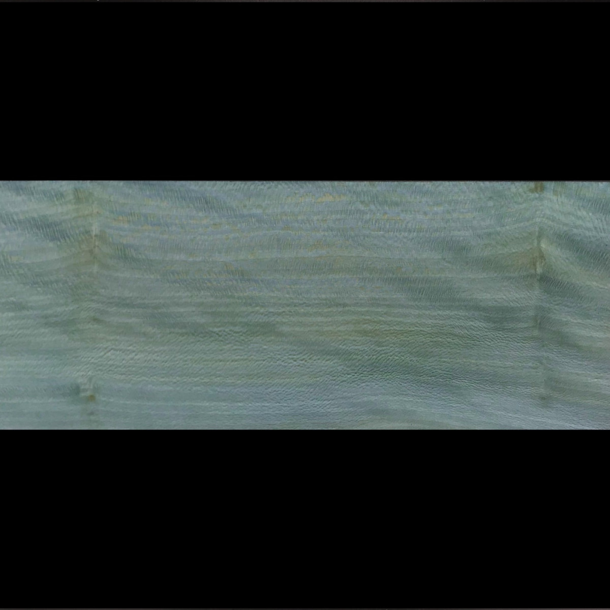 Placage Platane maillé bleu 09