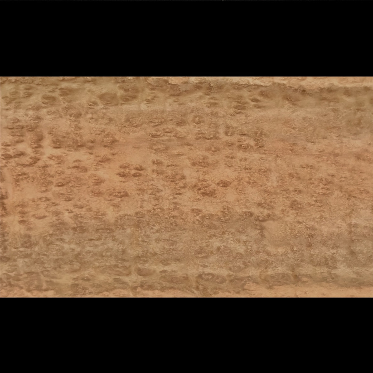 Placage Eucalyptus Pommelé