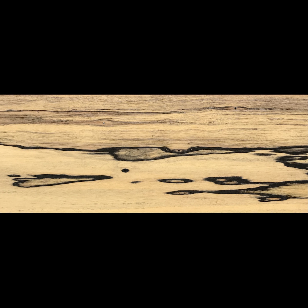 Placage Ebène blanc