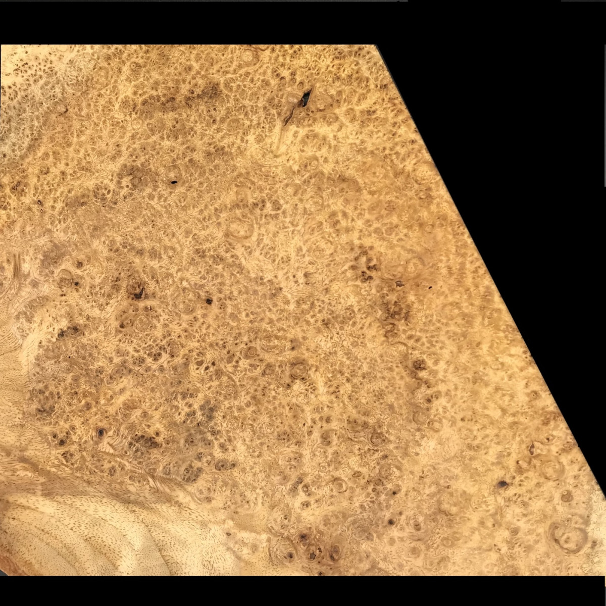 Placage Loupe d' Amboine