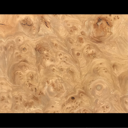 Placage Loupe d' Orme