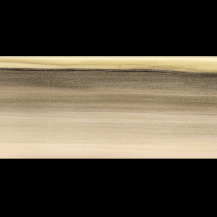 Placage Tulipier multicolore