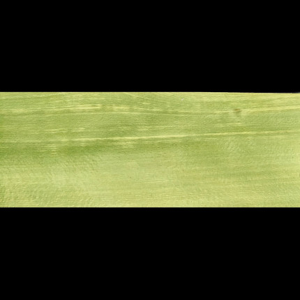 Placage Hêtre vert 13