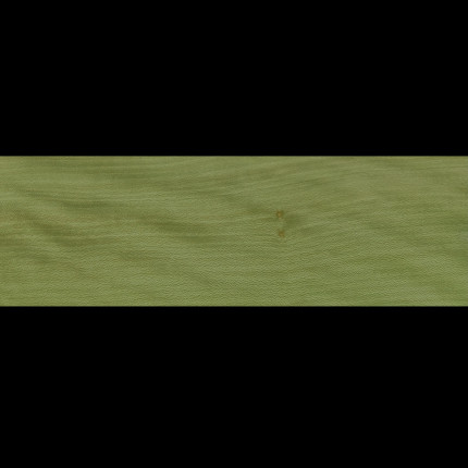 Placage Platane maillé vert 13