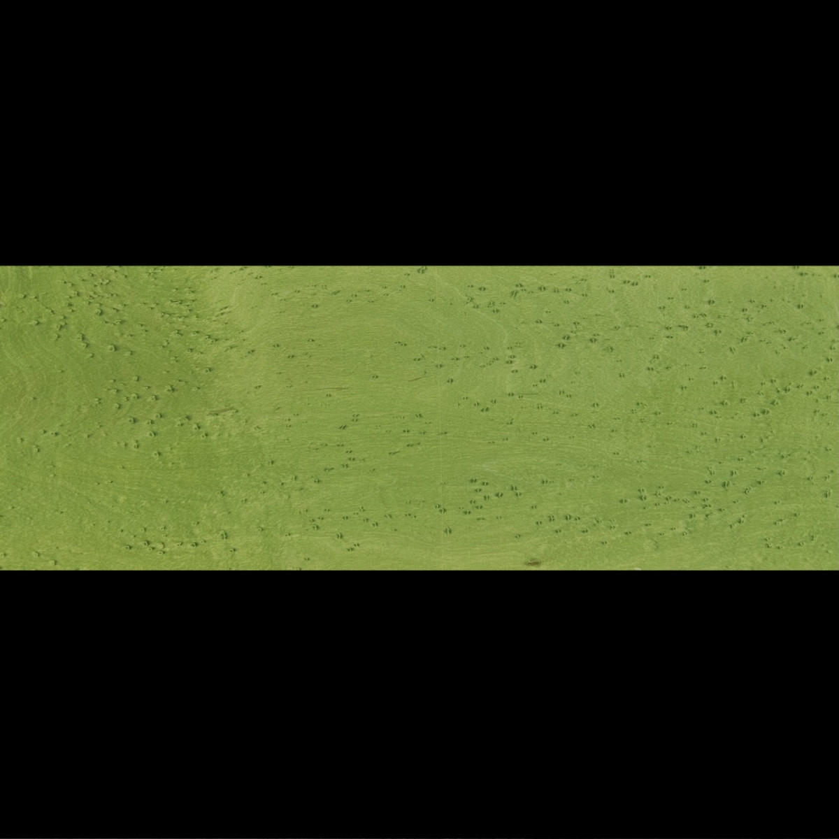 Placage Erable Moucheté Vert 13