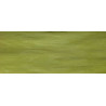 Placage Charme vert 71