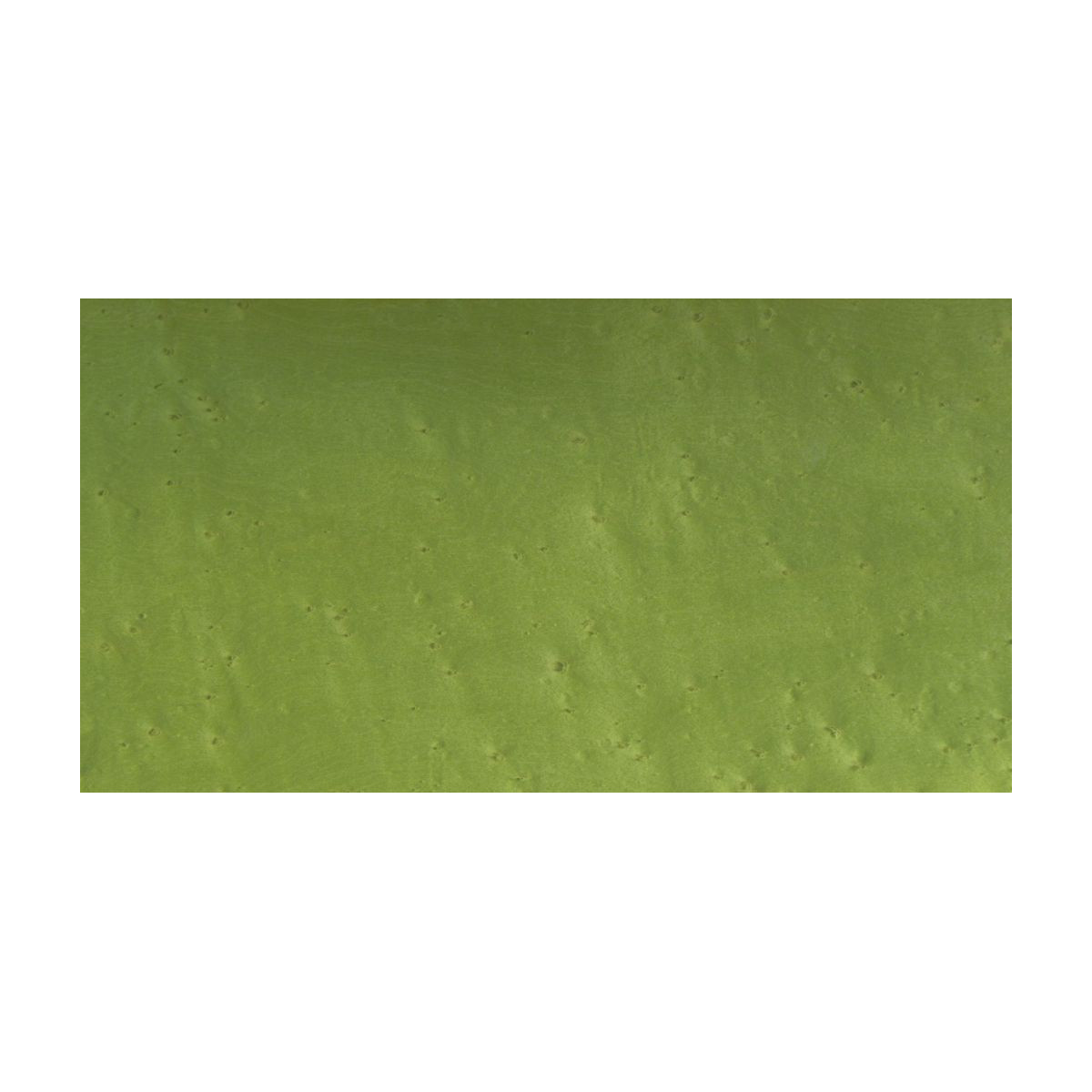 Placage Erable Moucheté Vert 13