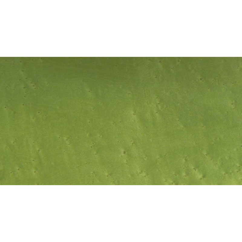 Placage Erable Moucheté Vert 13