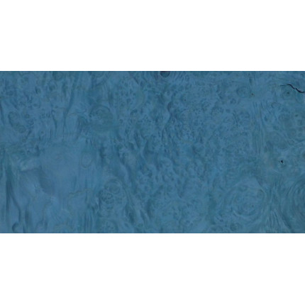 Placage Loupe de Frêne Bleu 09