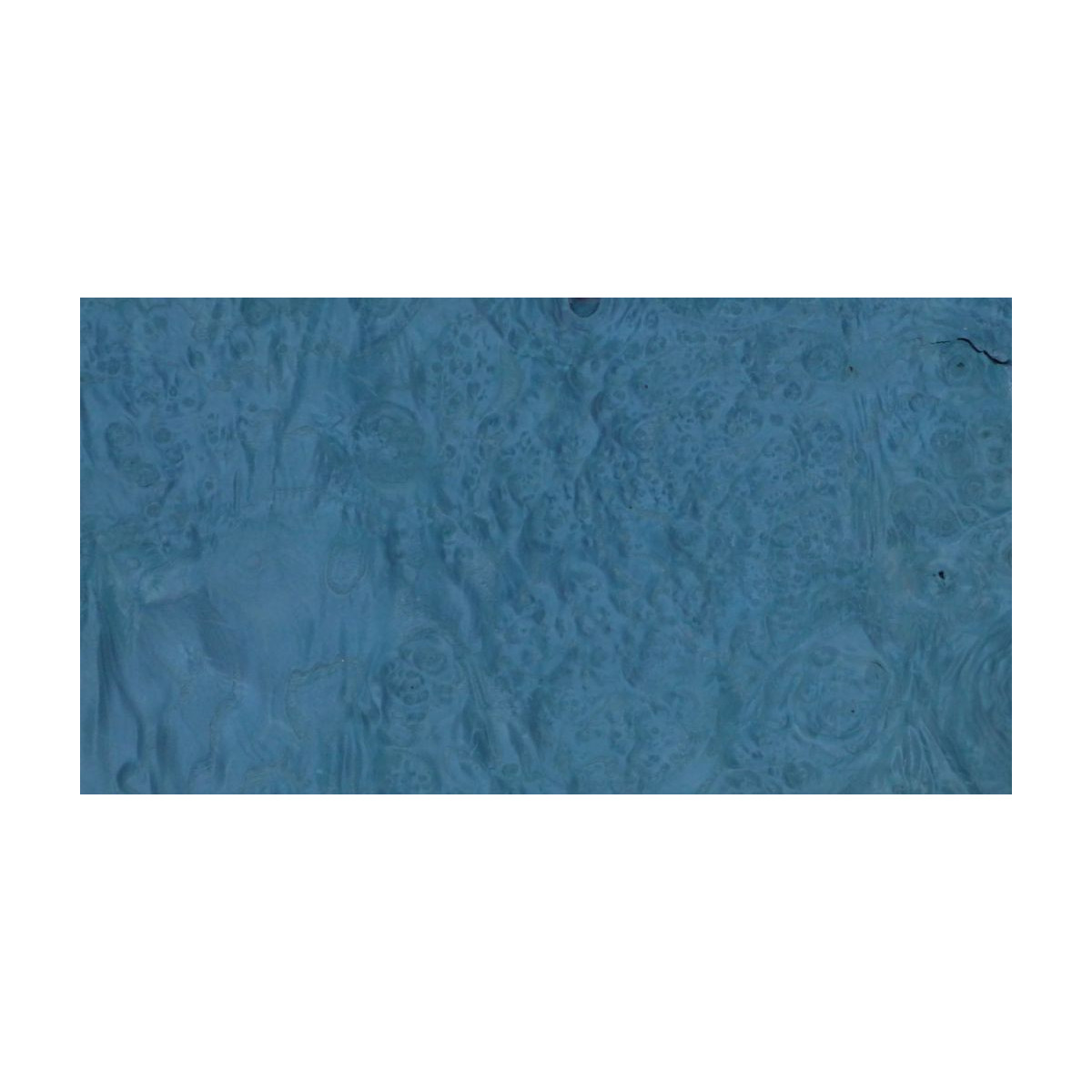 Placage Loupe de Frêne Bleu 09