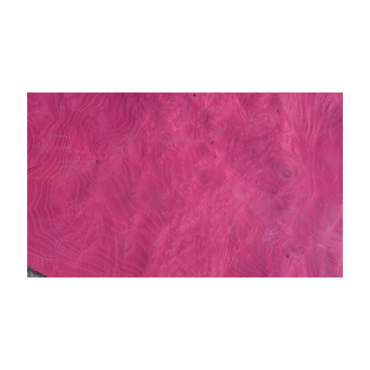 Placage Loupe de frêne bordeaux