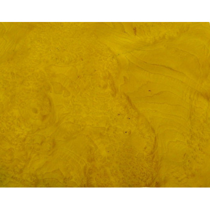 Placage Loupe de frêne jaune d'or