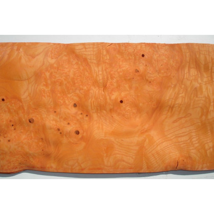 Placage Loupe de frêne orange