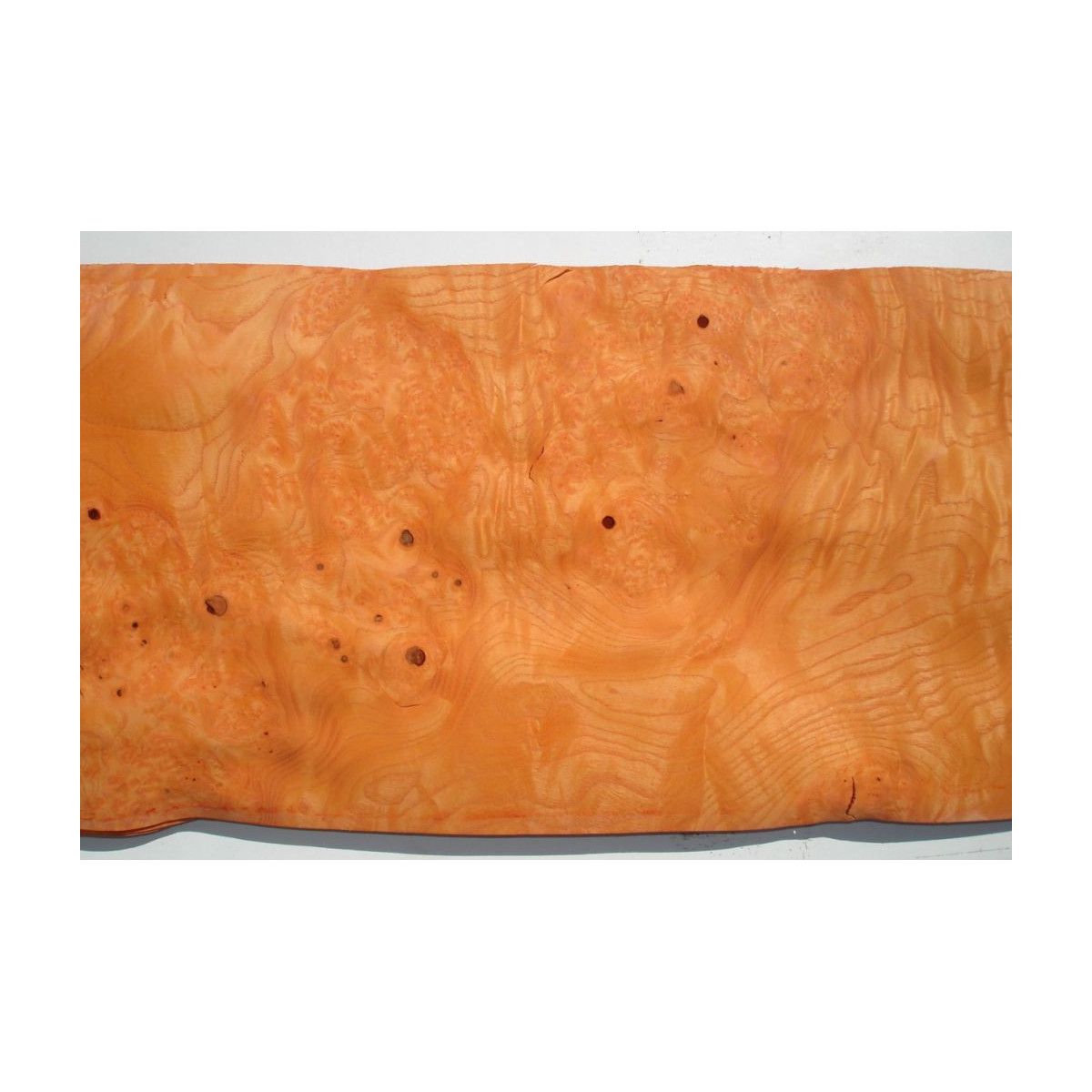 Placage Loupe de frêne orange