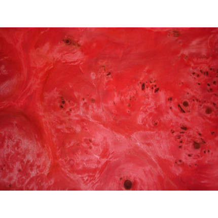 Placage Loupe de peuplier rouge