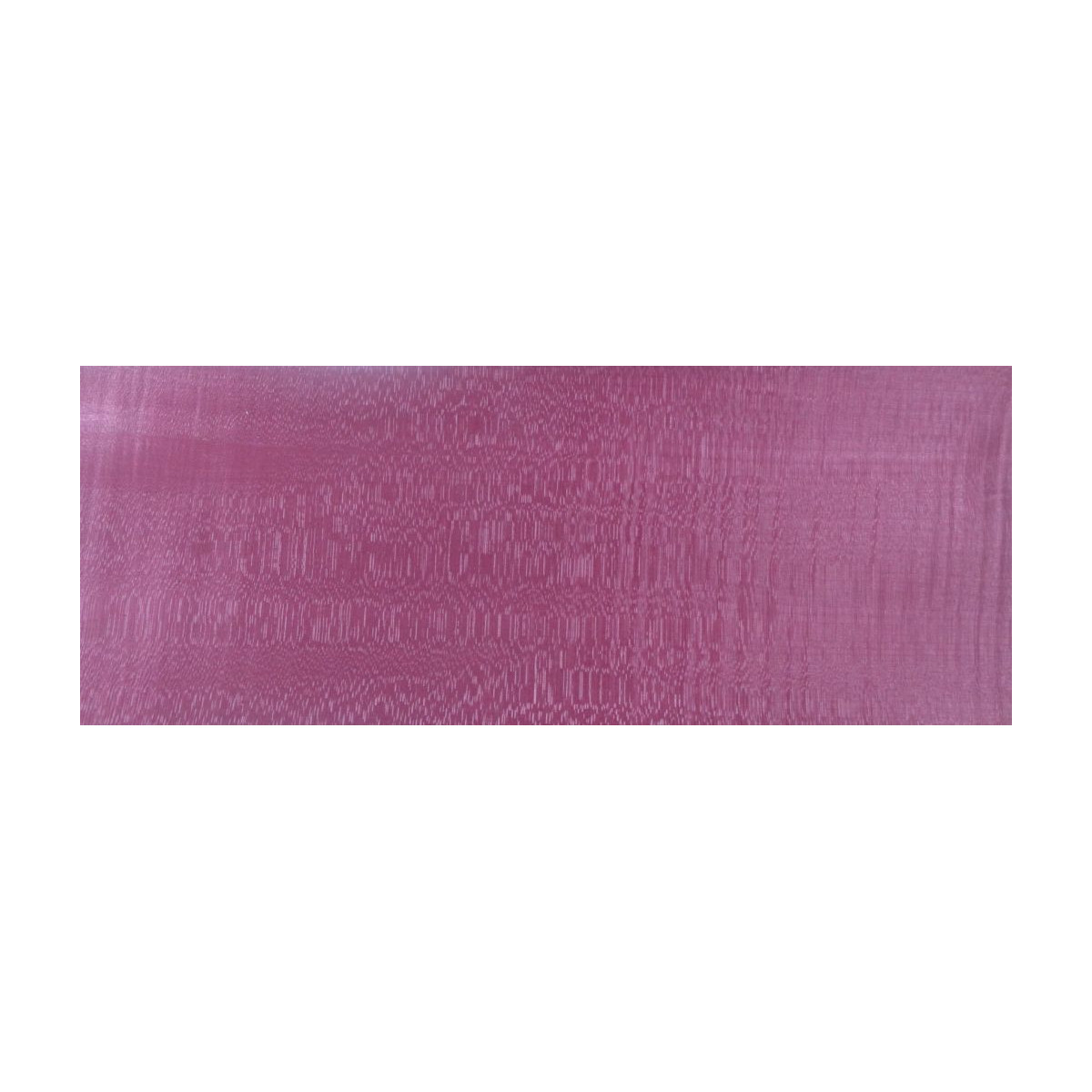 Placage Sycomore ondé bordeaux