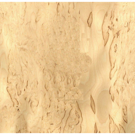 Bouleau madré de Norvège-Placages et Filets GAUTHEY