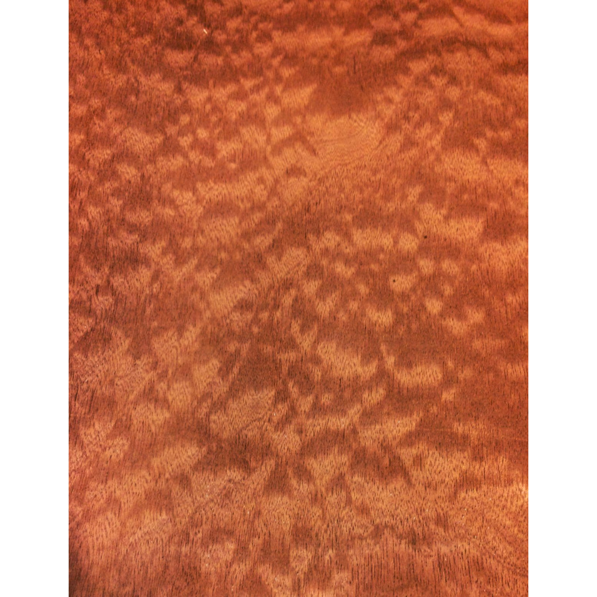 Placage Acajou Pommelé