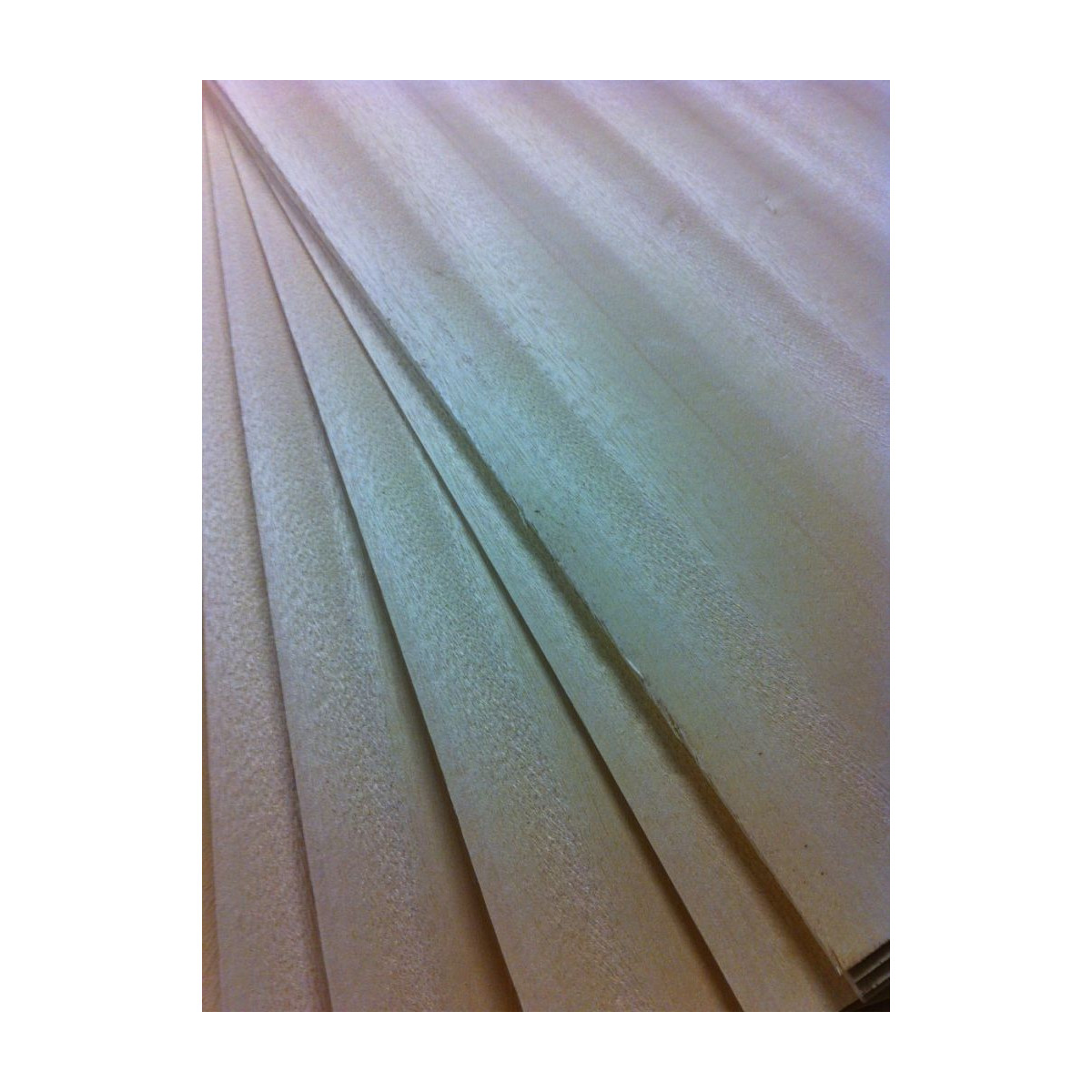 Contre plaque Chenchen 15/10