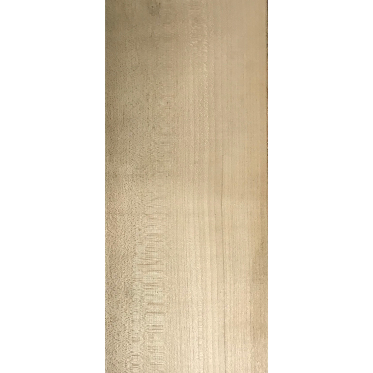 Placage Sycomore 0.9