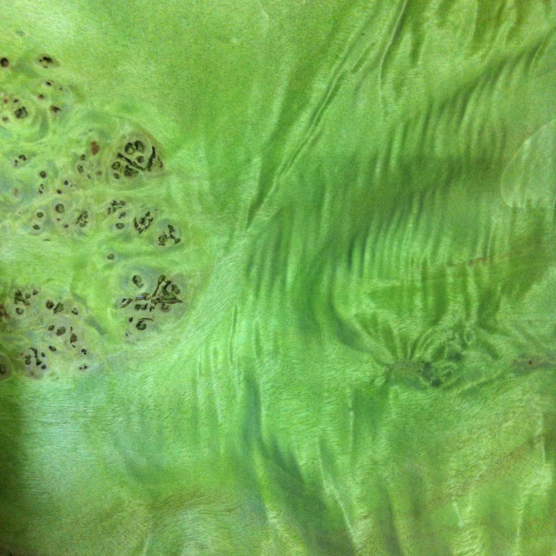 Loupe de peuplier vert 13