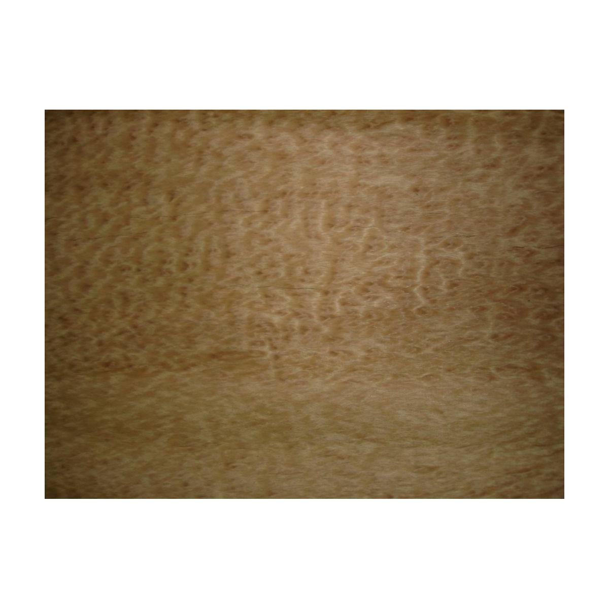 Placage Eucalyptus Pommelé