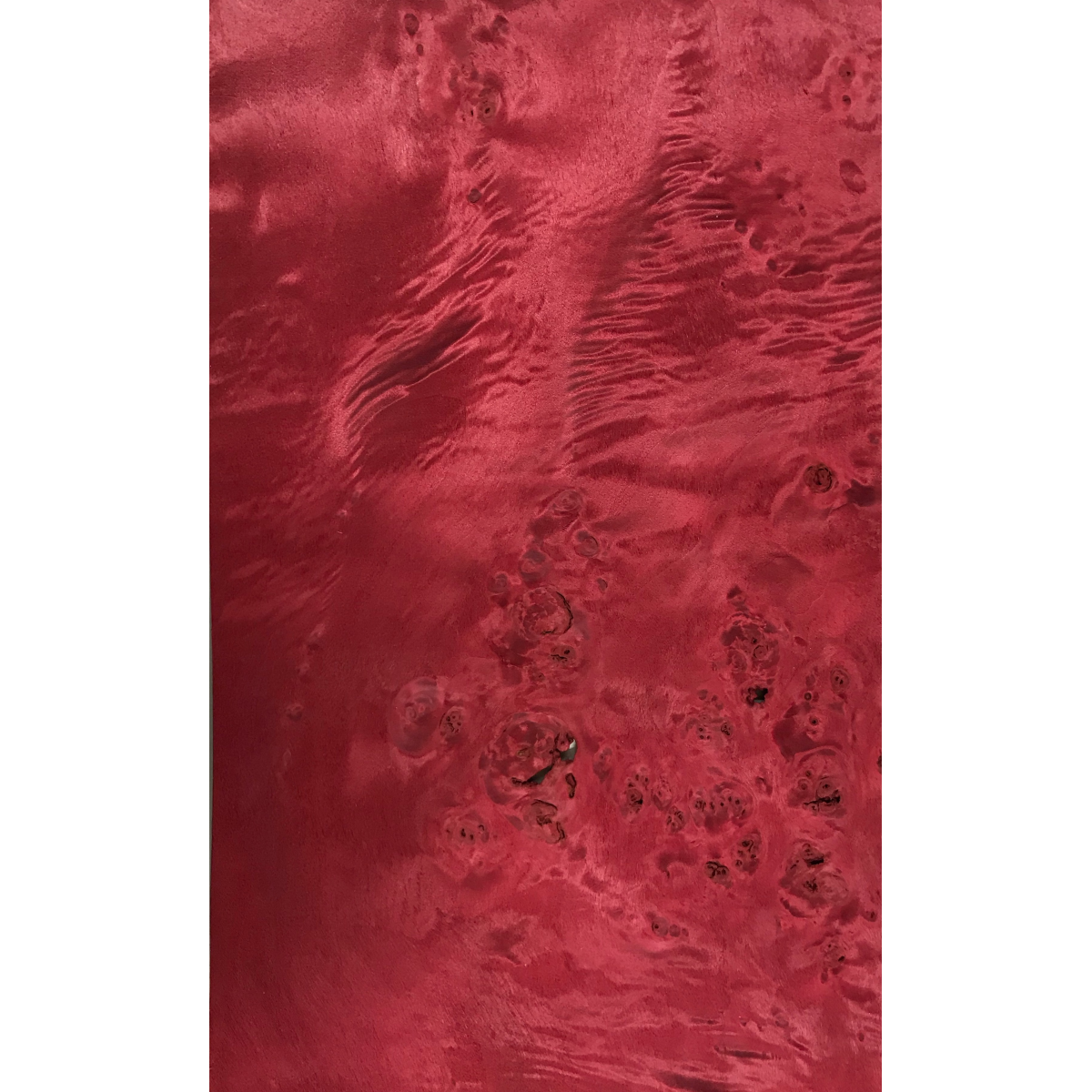 Placage Loupe de Peuplier Bordeaux