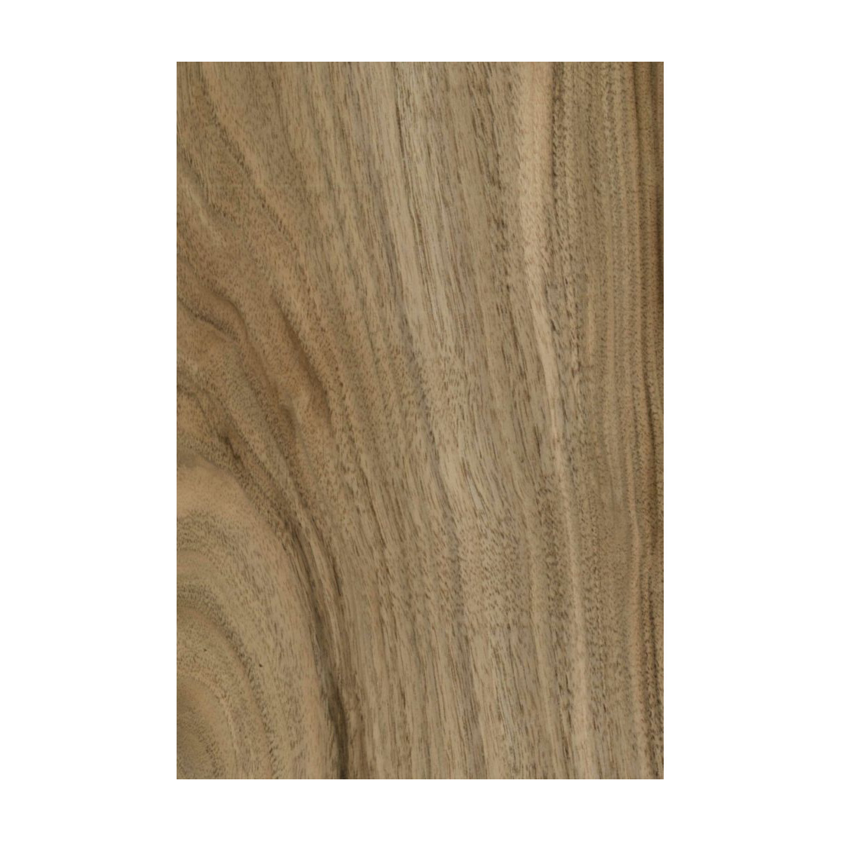 Placage Noyer Européen