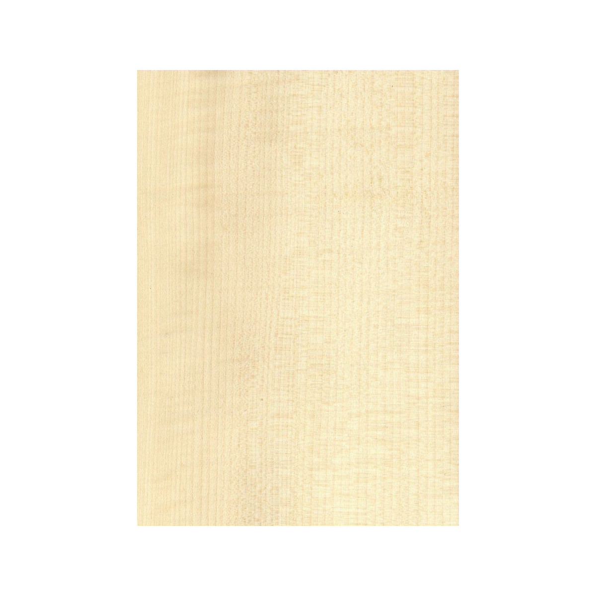 Placage Sycomore Ondé