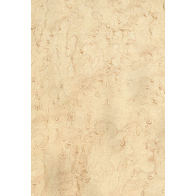 Placage Oeil D'oiseau érable Moucheté Clair Grossier - 250x64cm - Allemagne