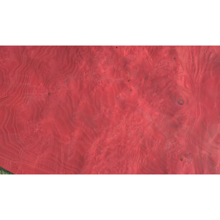 Placage Loupe de frêne rouge