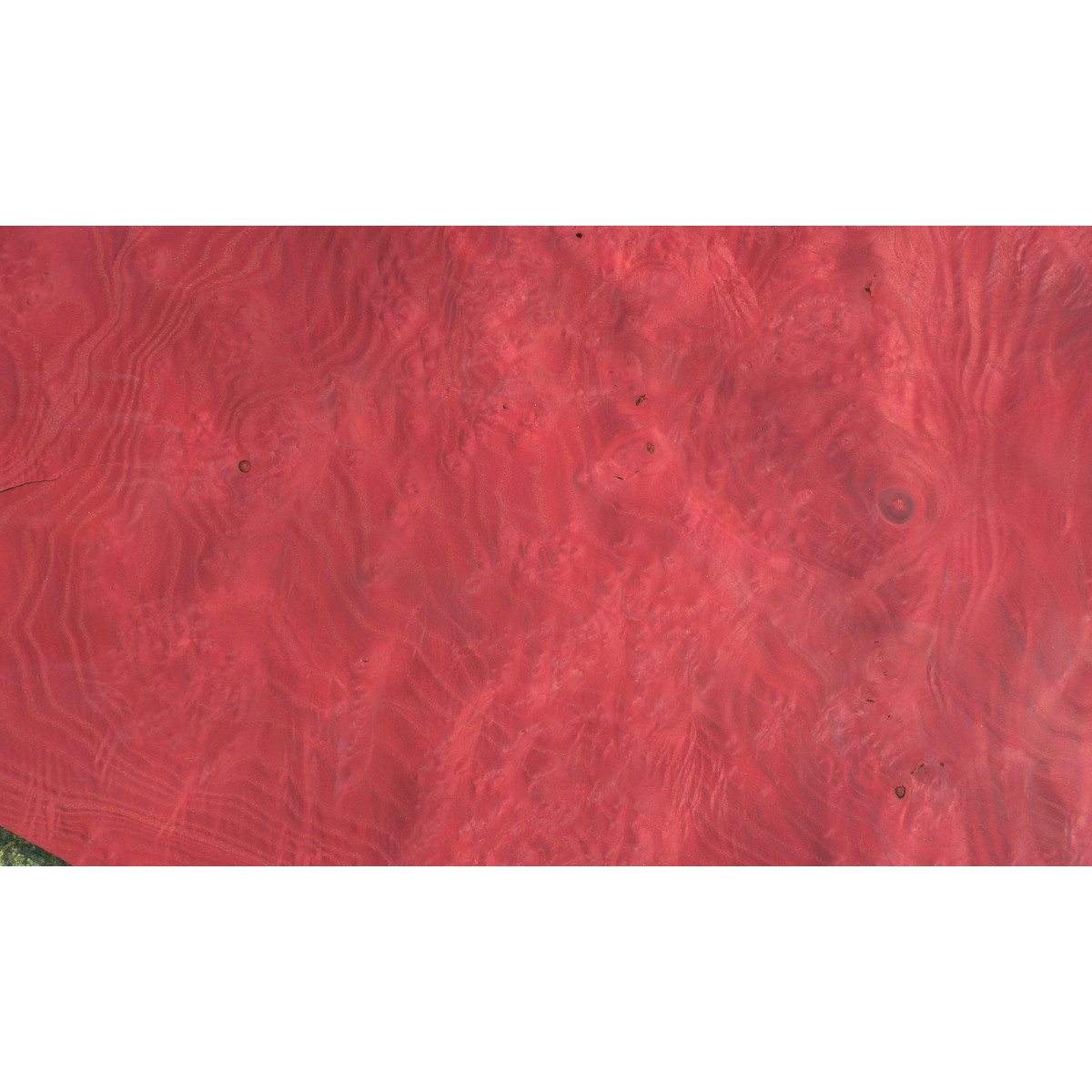 Placage Loupe de frêne rouge