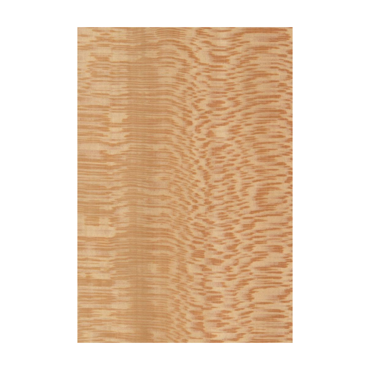 Placage Platane Maillé