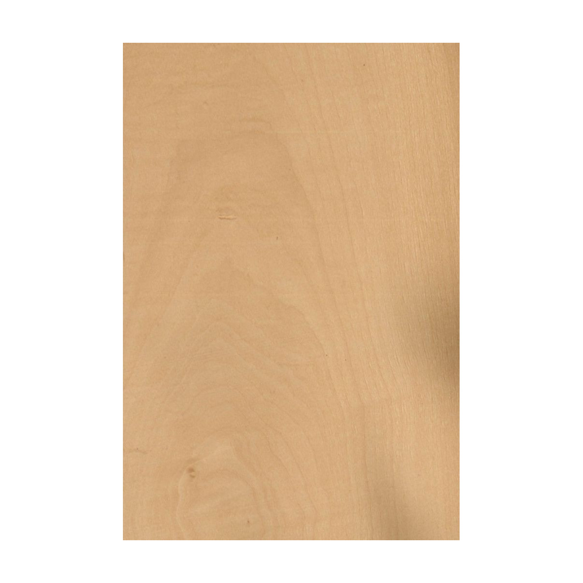 Placage Poirier Alisier