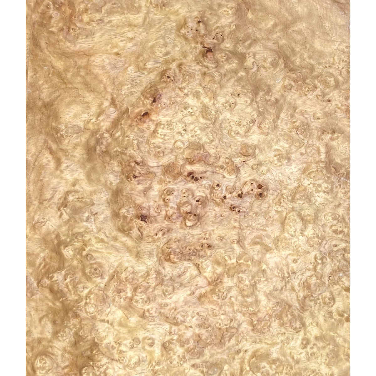 Placage Loupe d' Amboine