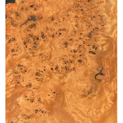 Loupe de peuplier Orange