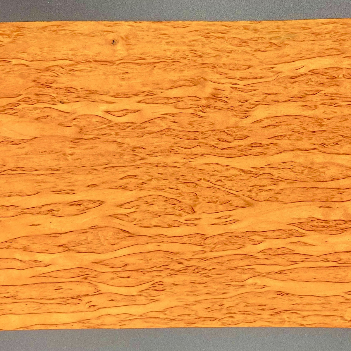 Bouleau Madré Orange