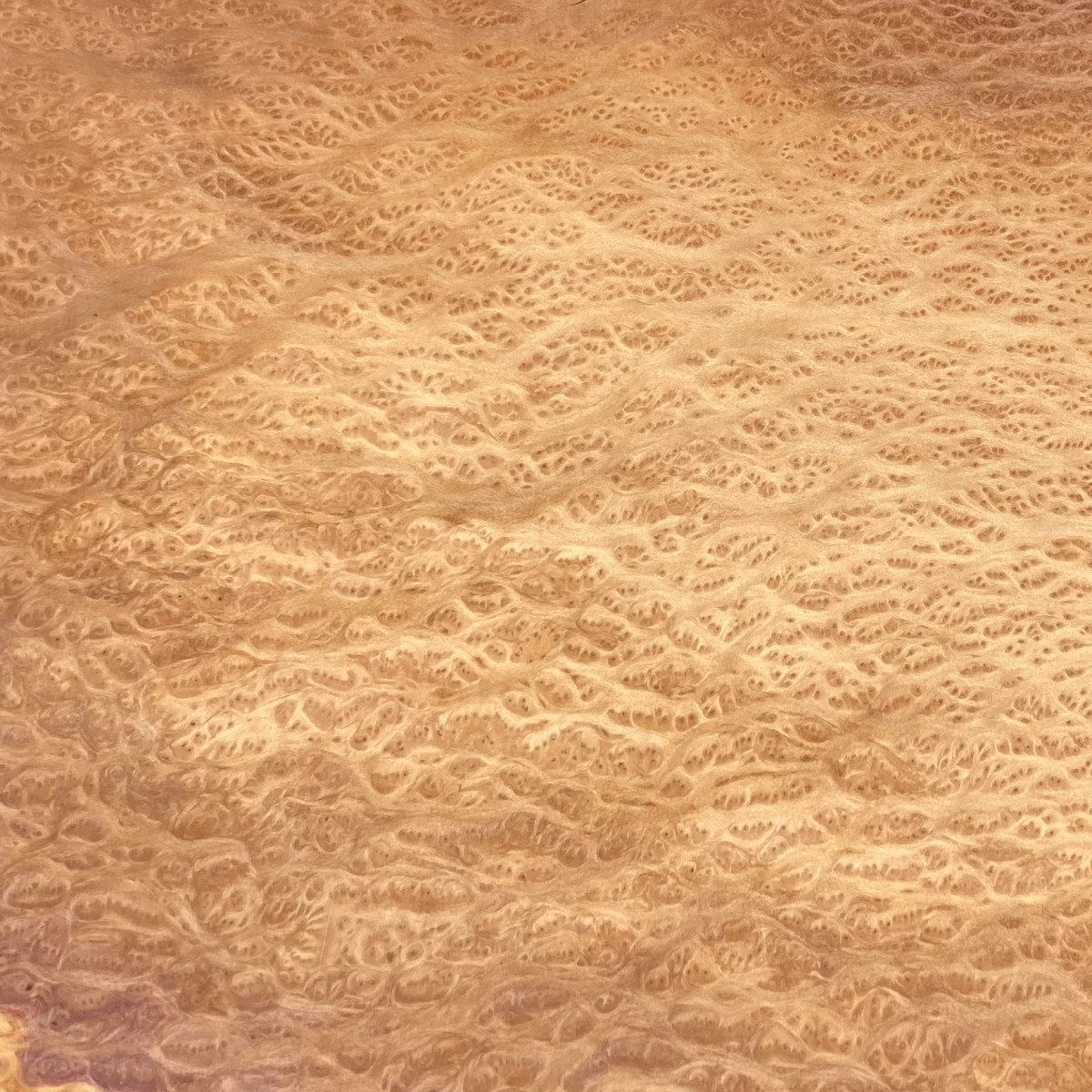 Placage Loupe de Vavona