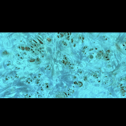 Placage Loupe de peuplier Bleu lagon