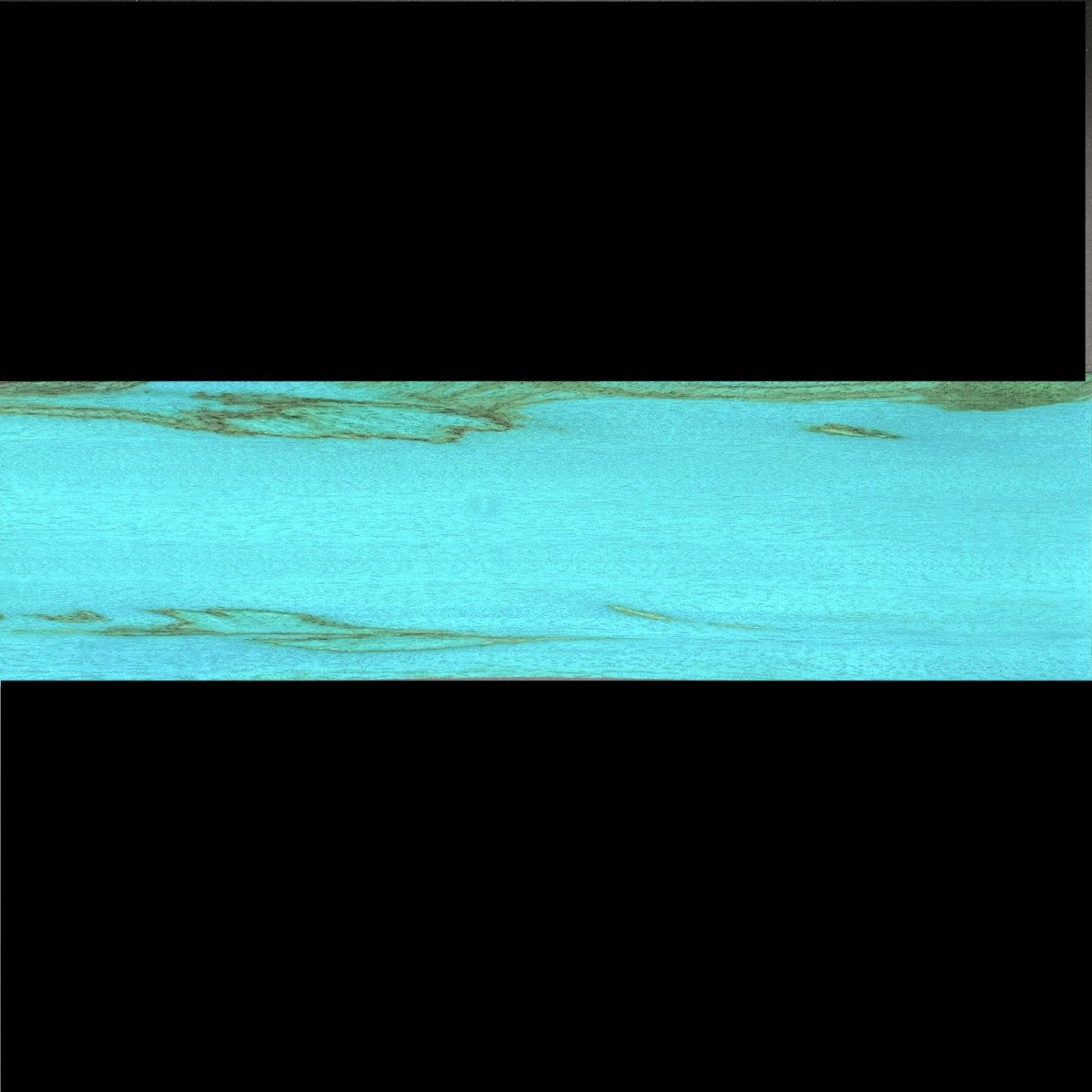 Chenchen bariolé bleu lagon